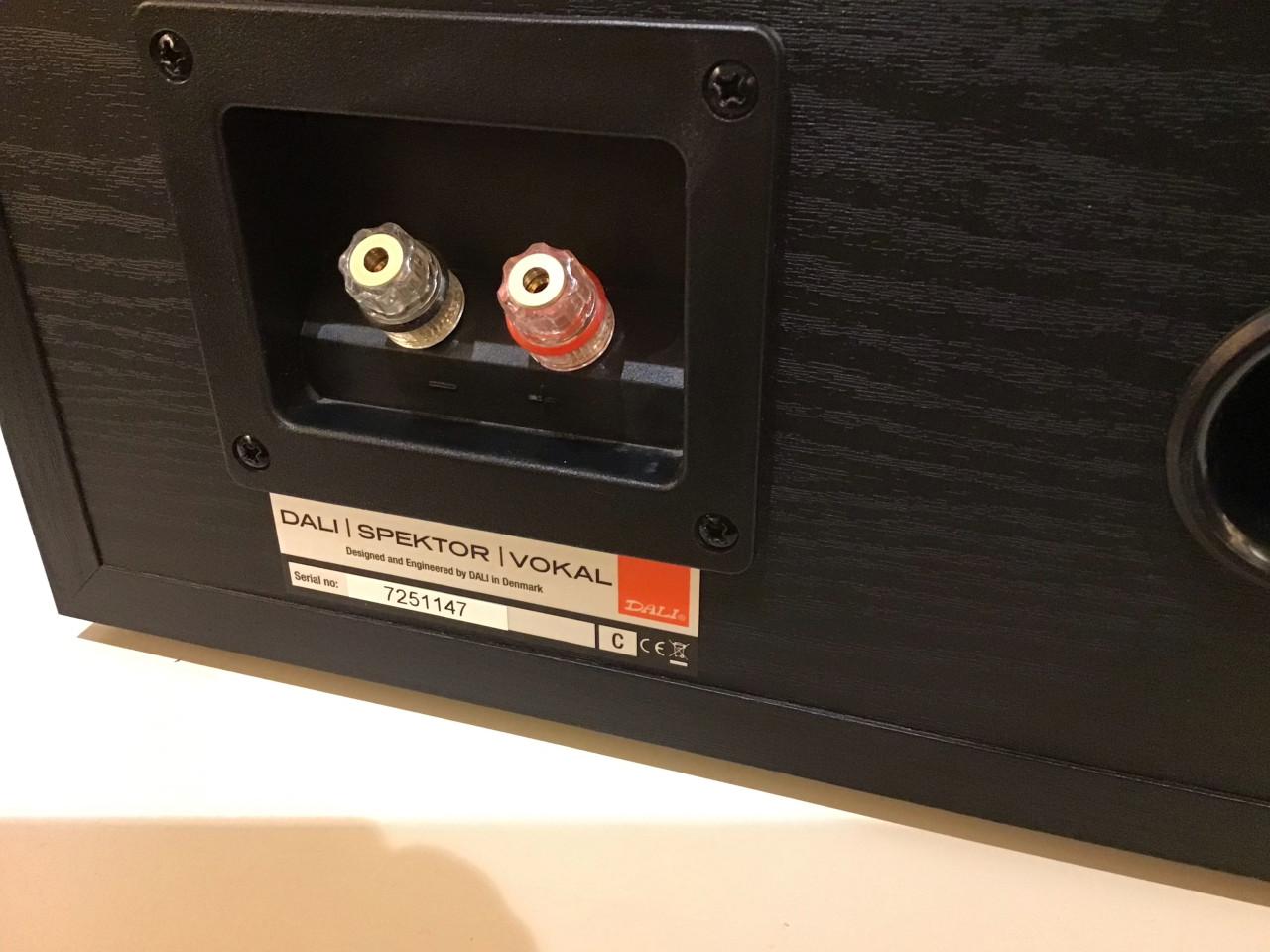 Dali Spektor Vokal center luidspreker