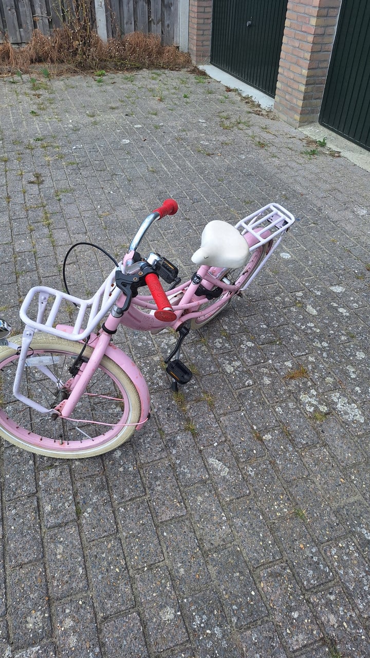Roze meisje fiets 22 inch