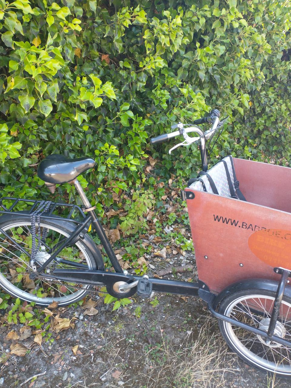 Bakfiets (zonder ondersteuning)