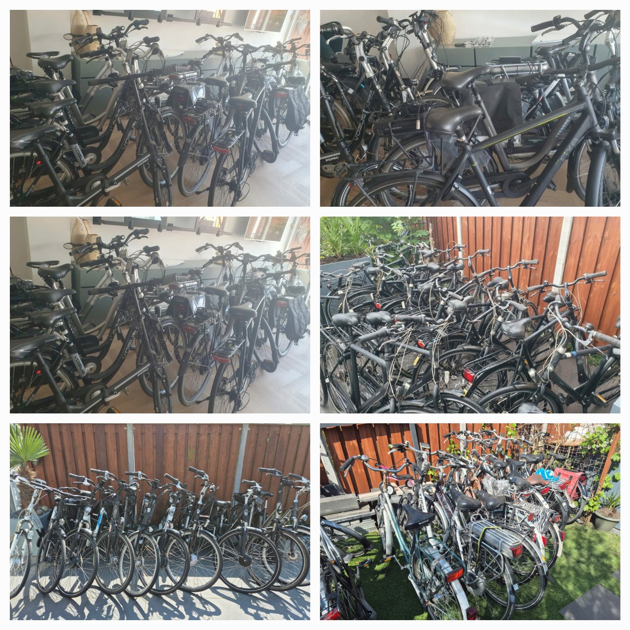Elektrische fiets Giant | bezorgen mogelijk.