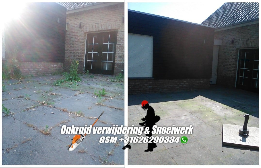Onkruid verwijdering , maai en snoeiwerk
