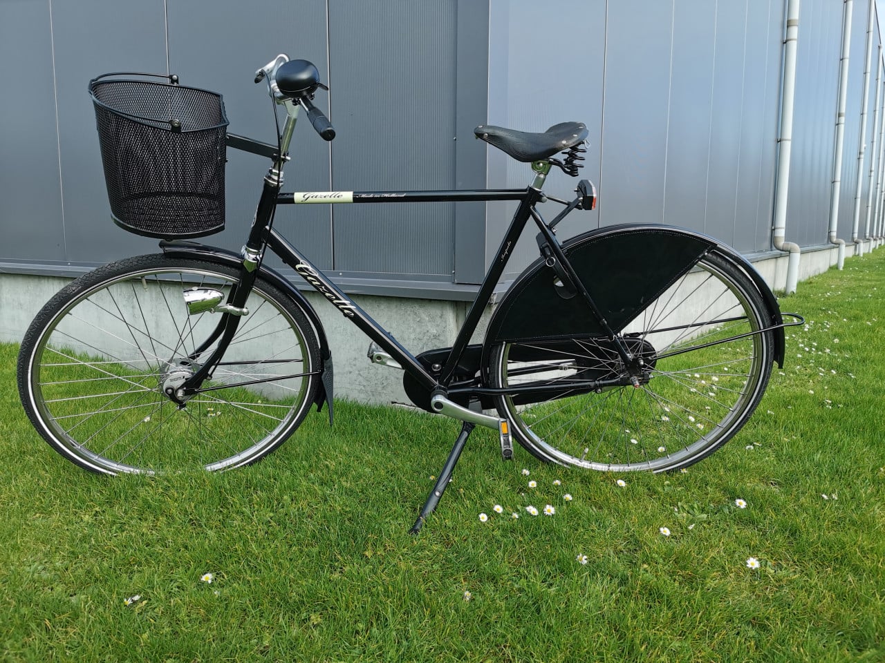 GAZELLE HERENFIETS