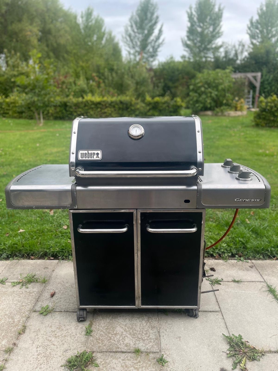 Weber genesis gasbarbecue