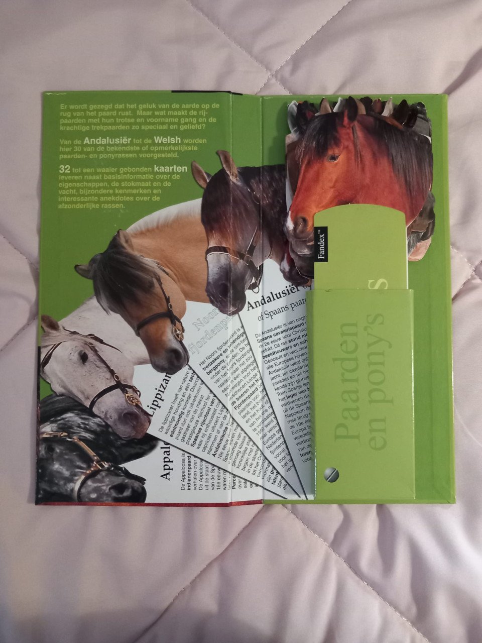 Paardenrassen en.pony's