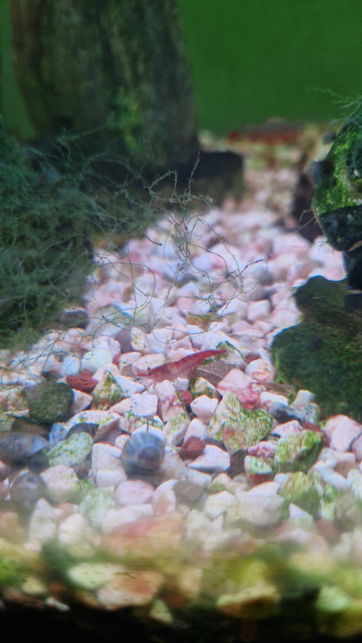 Compleet aquarium met kast