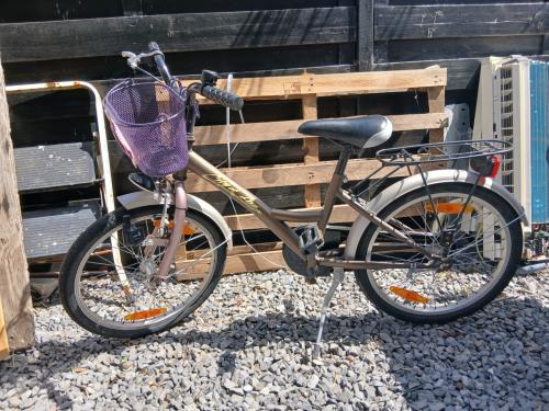 Meisjesfiets 20 inch