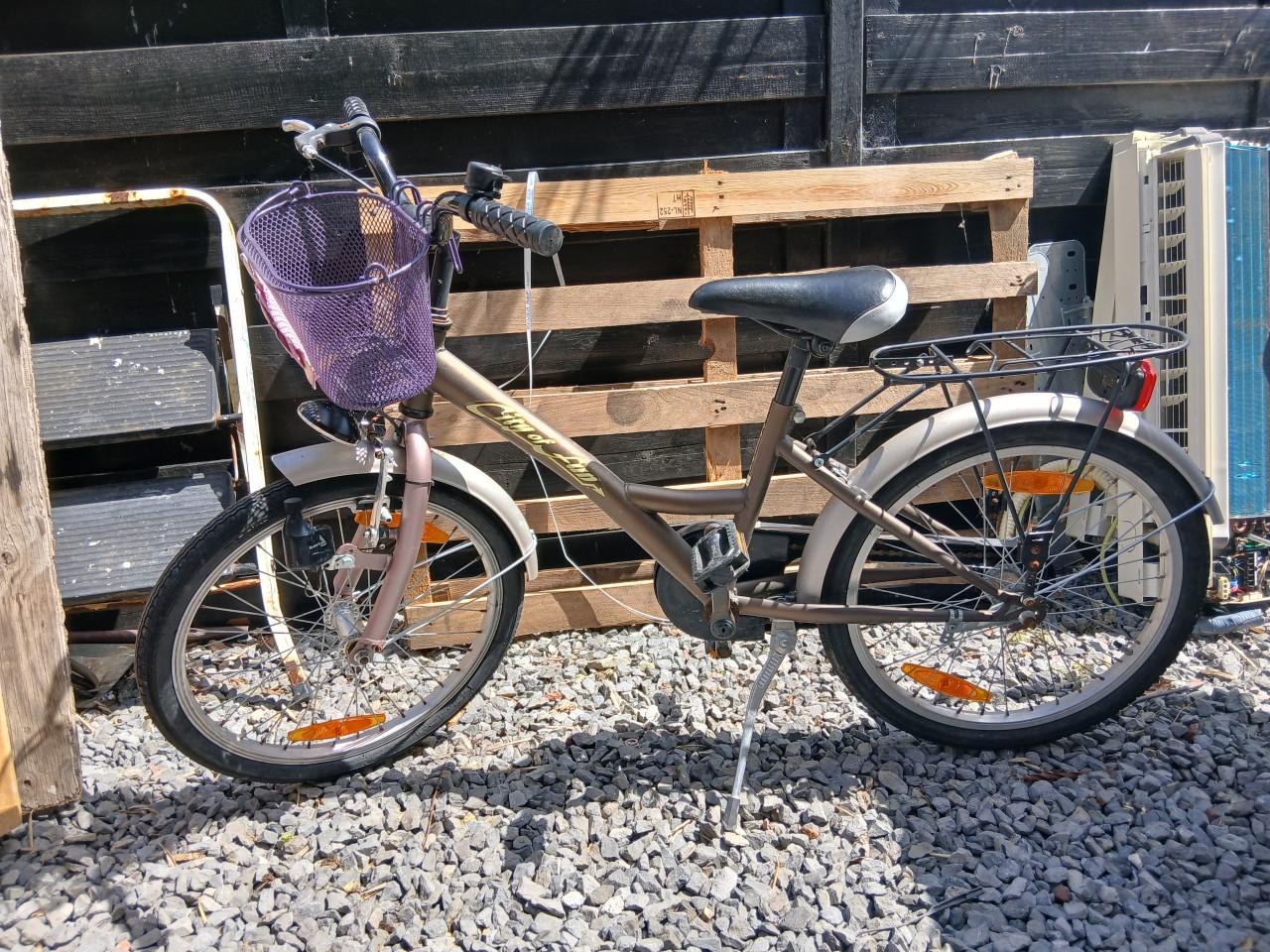 Meisjesfiets 20 inch