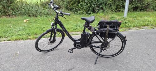 Piaggio Wi Bike