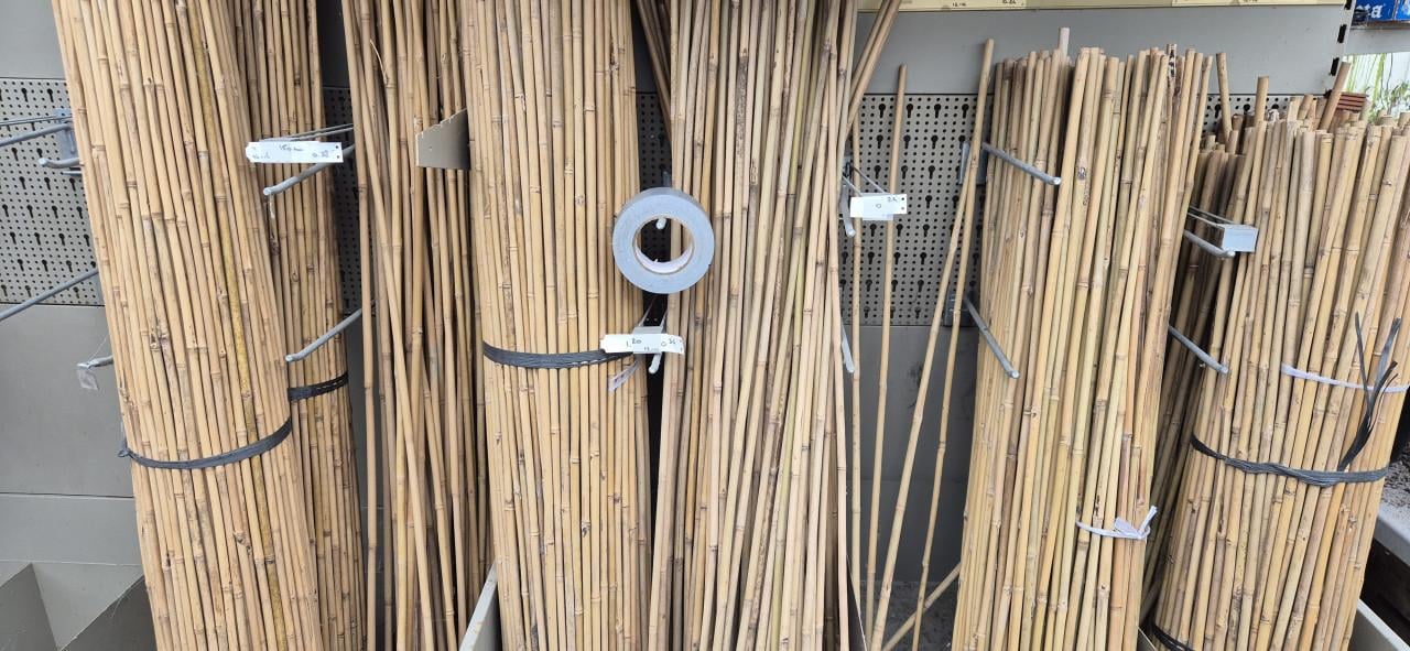 Bamboestokken A-kwaliteit