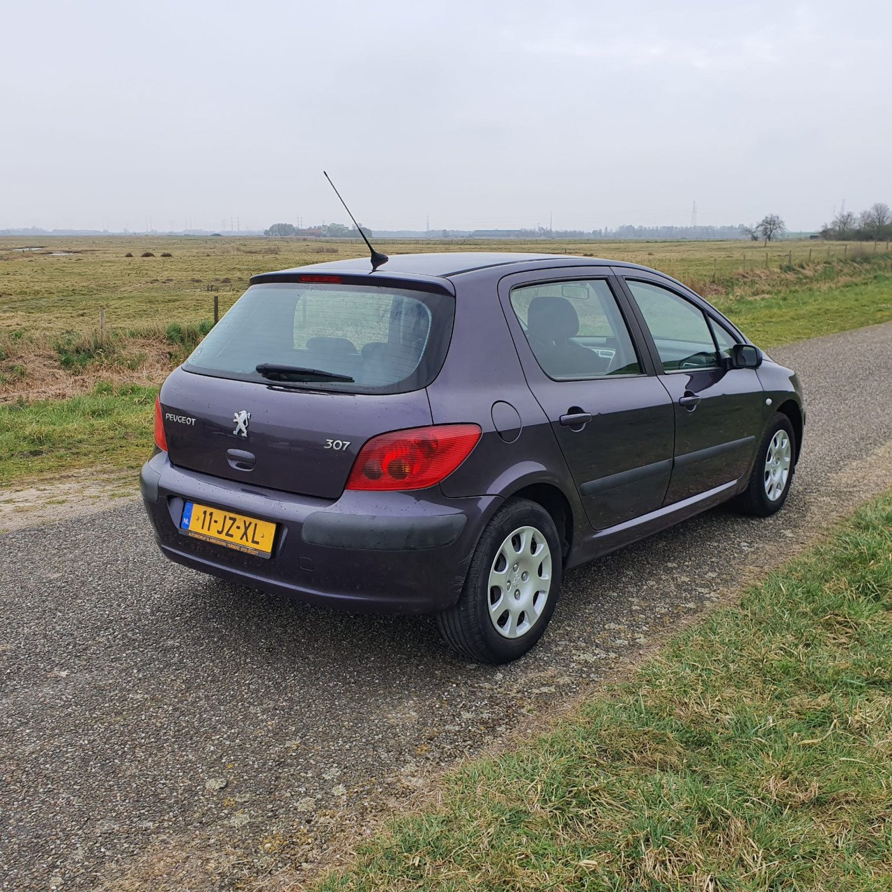 Peugeot 307 1.6-16V XS 5 deurs