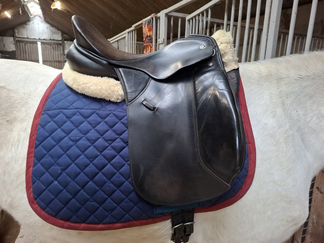 Kieffer dressuurzadel te koop