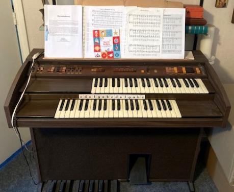 ORGEL