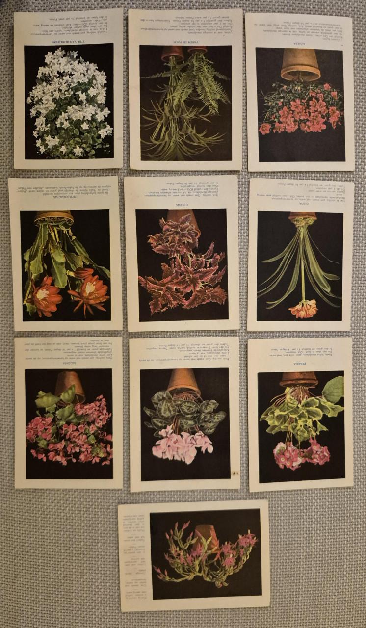 Reclamekaarten planten 1933 ( Pokon )