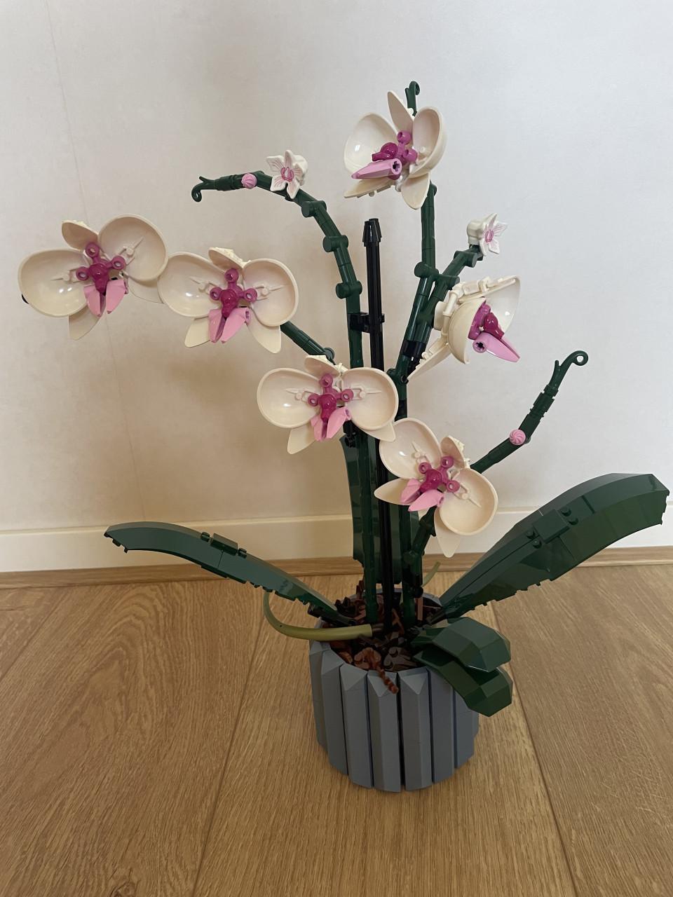 LEGO Orchidee