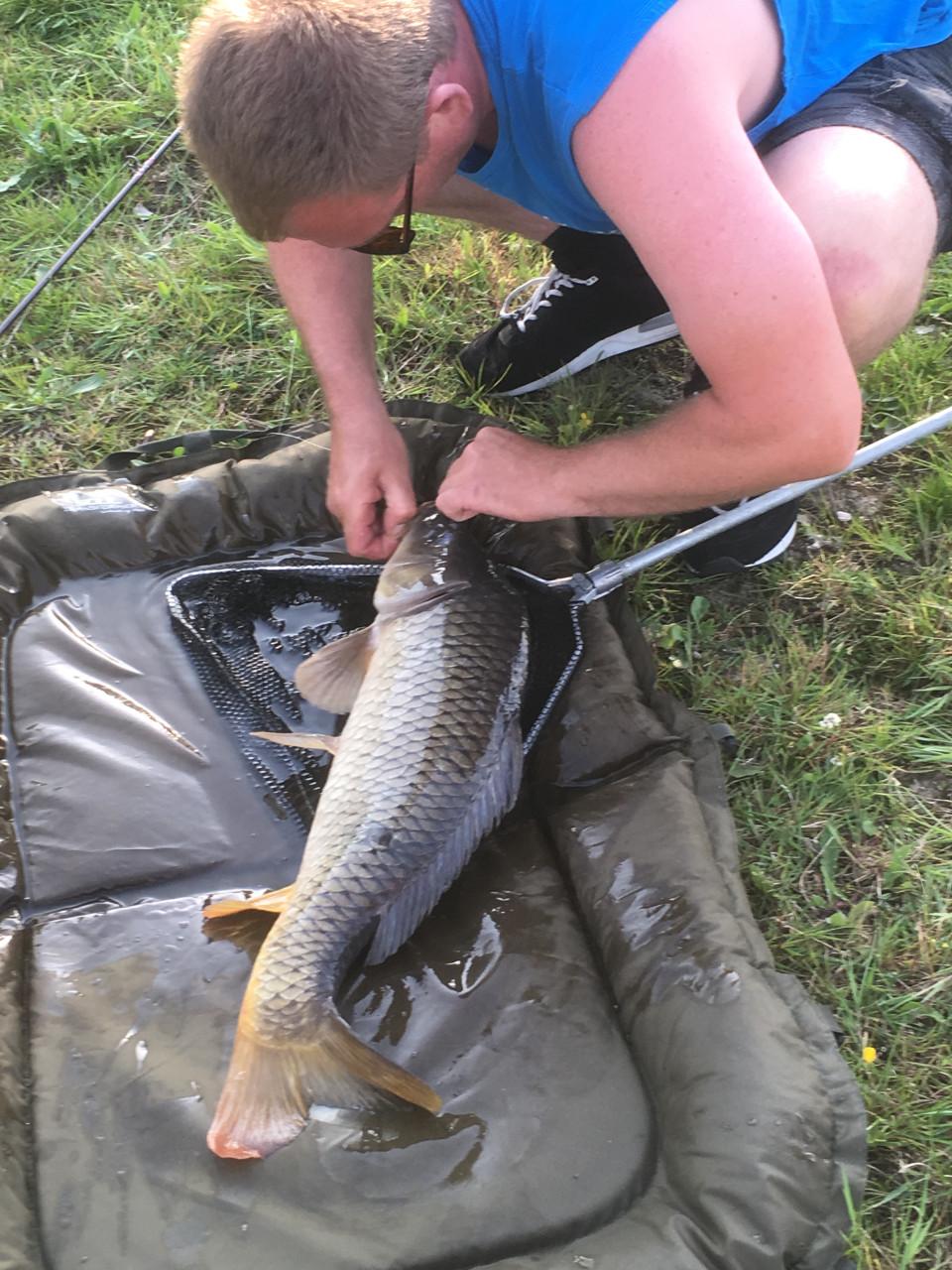 Hengelsport in de polder bij Karpervisserij Koudekerke €17,50 visvergunning