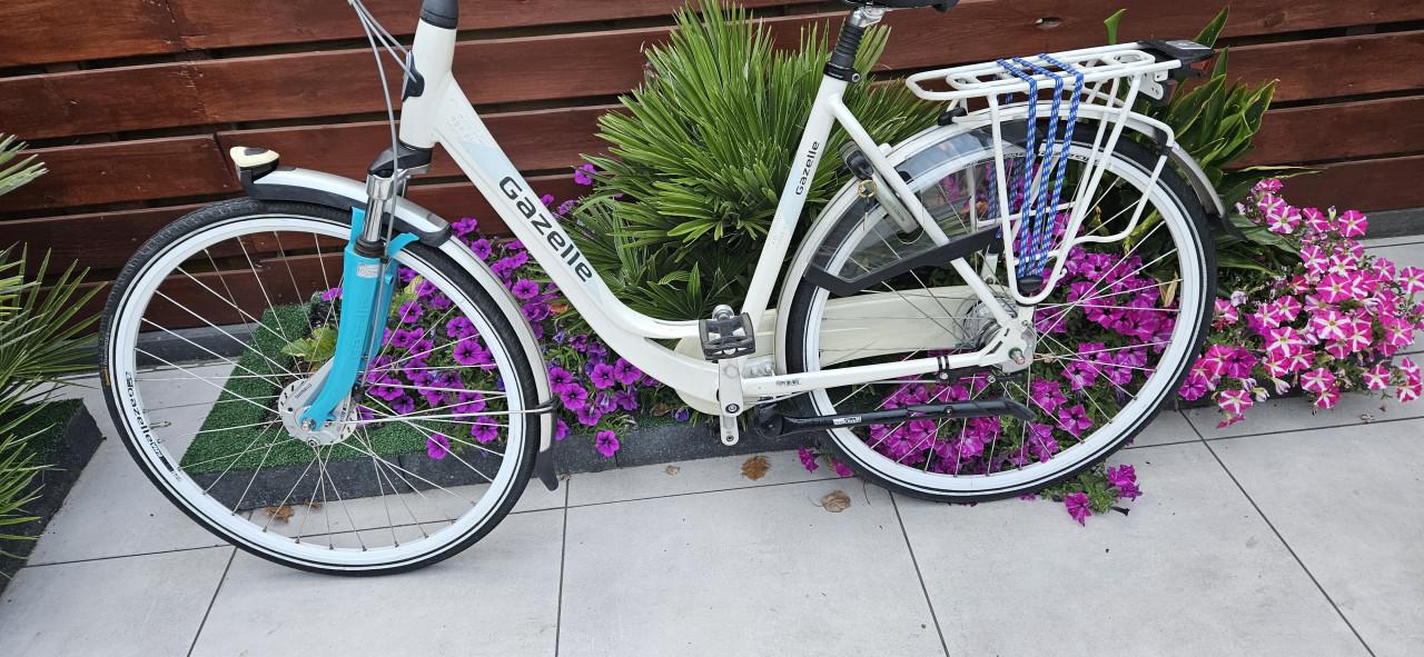 Gazelle Orange Plus Damesfiets