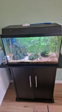 Compleet aquarium met kast
