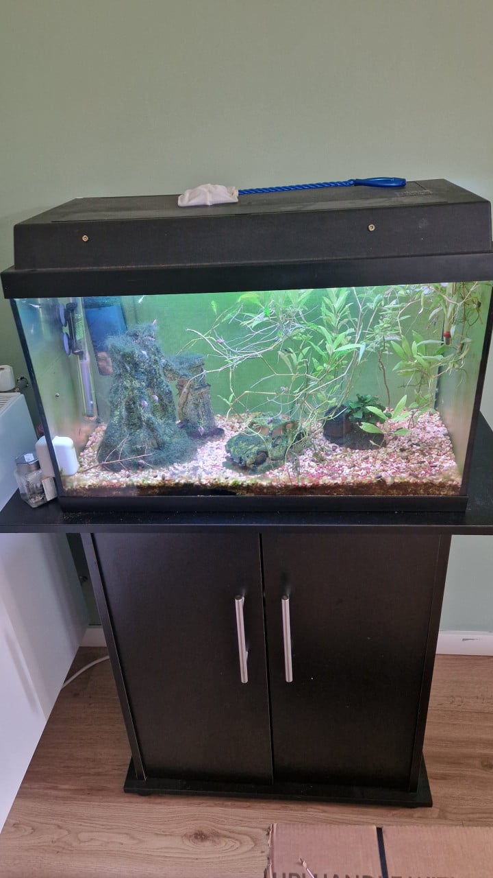 Compleet aquarium met kast