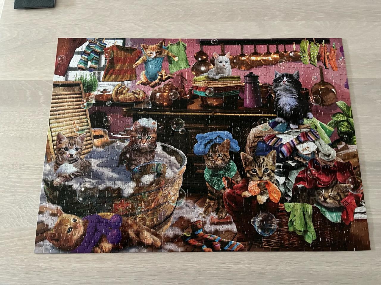 Puzzels 1000 stukjes