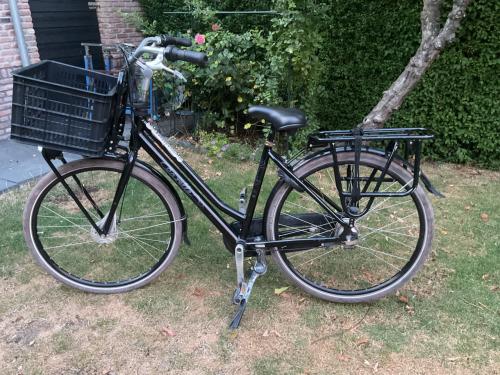 Fiets meiden