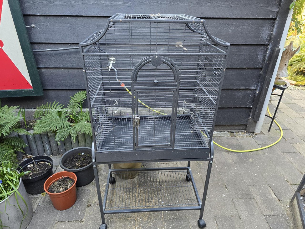 Vogelkooi