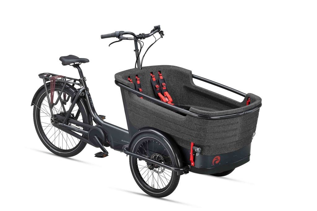 Batavus Fier 3 ENV Cargo