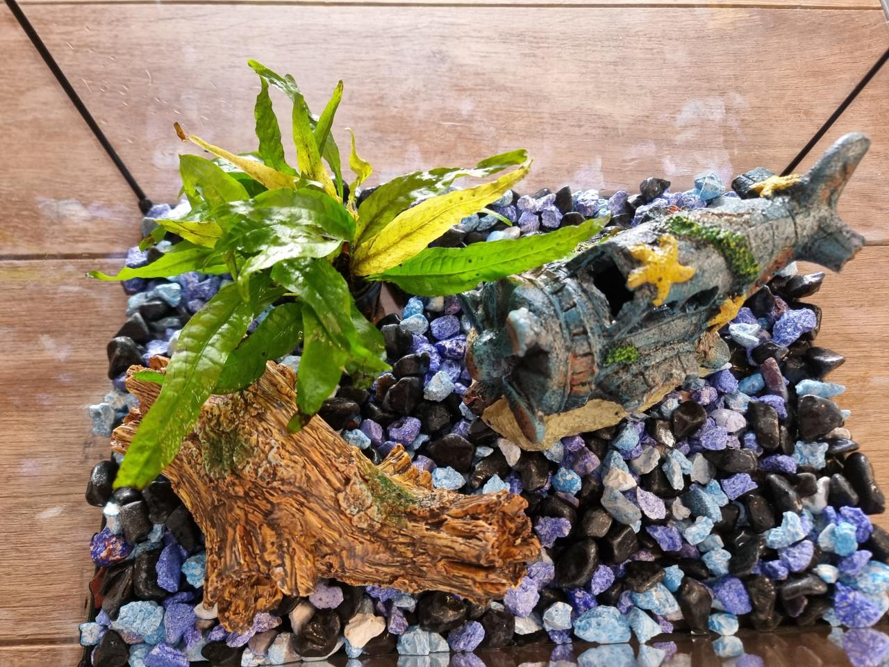 Aquarium