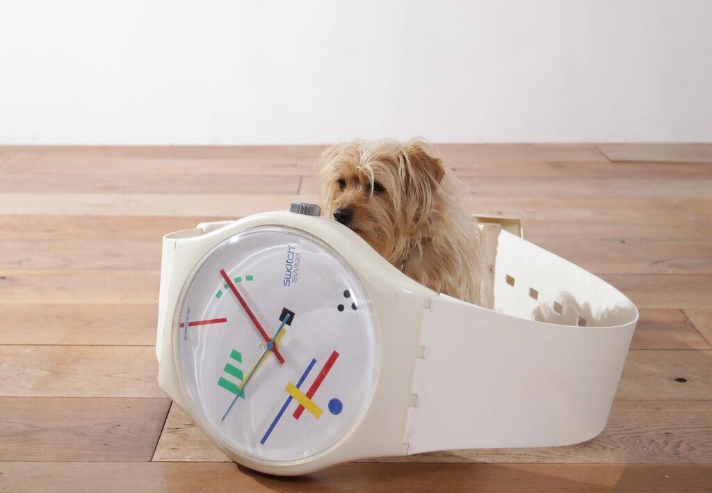 Maxi Swatch horloge 209 cm. !