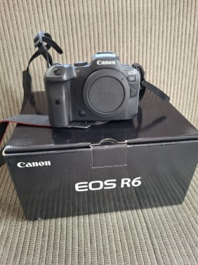 Canon R6 body