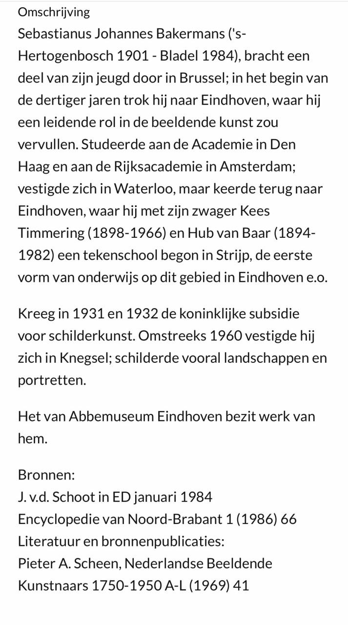 Schilderij  Johan Bakermans