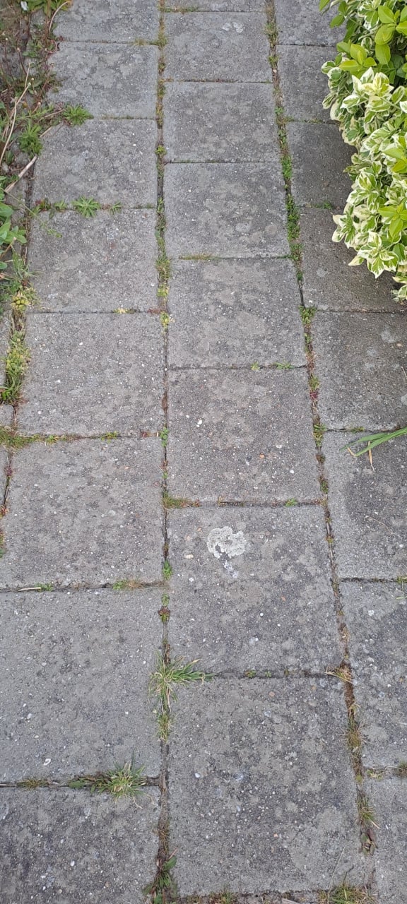 Tegels 30x30 en opsluitbanden (gratis)