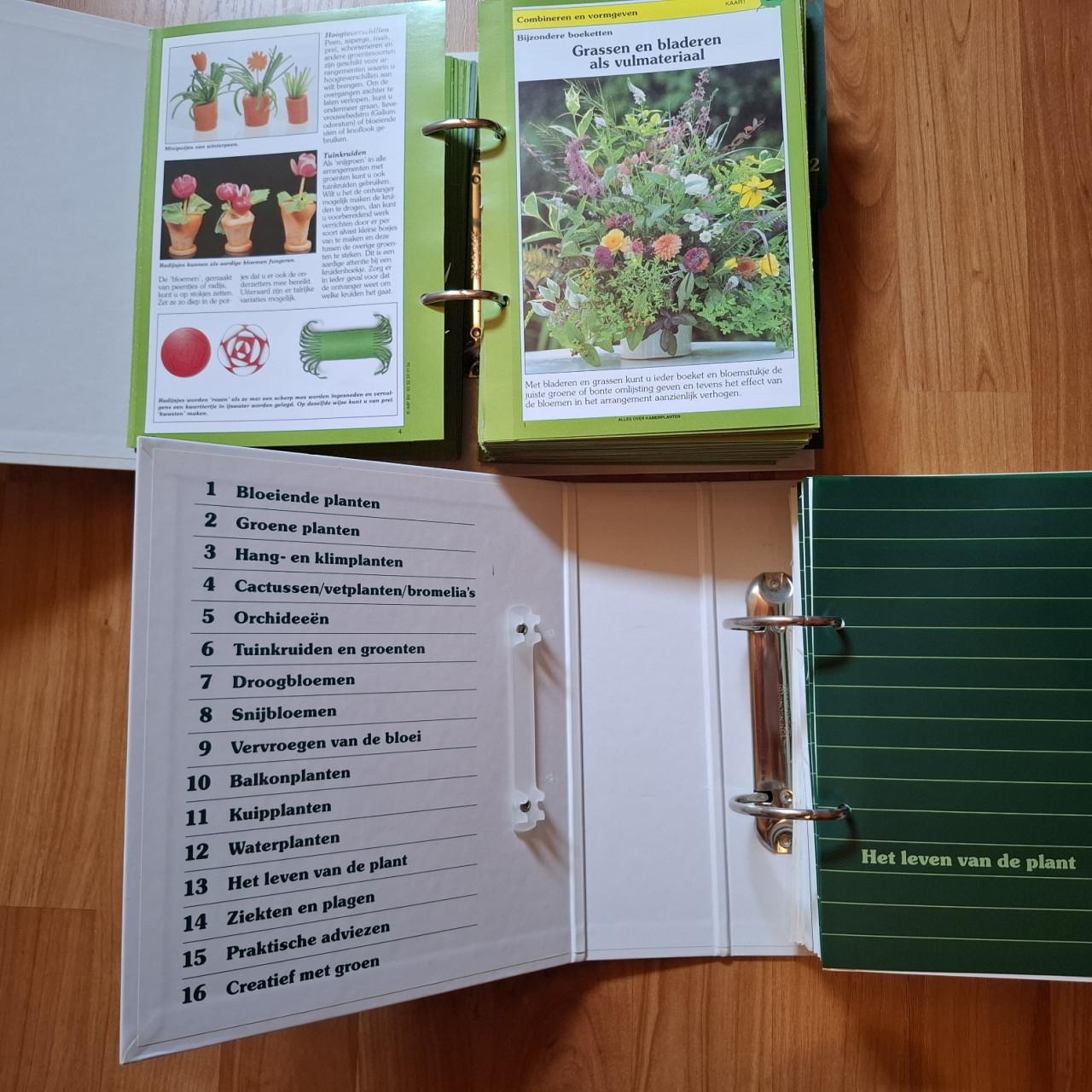 Alles over kamerplanten en bloemen