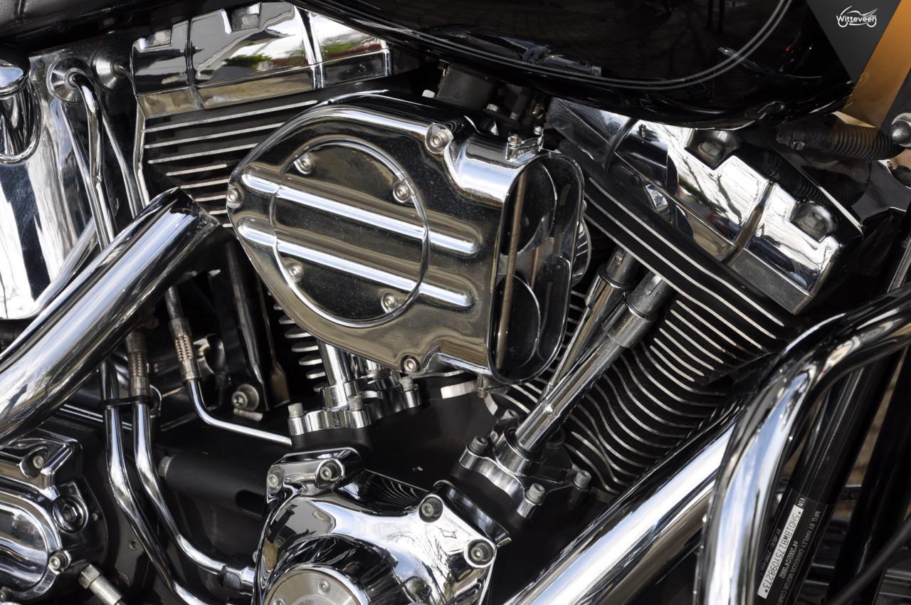 Harley Davidson FLSTC Heritage Classic Jekill & Hide