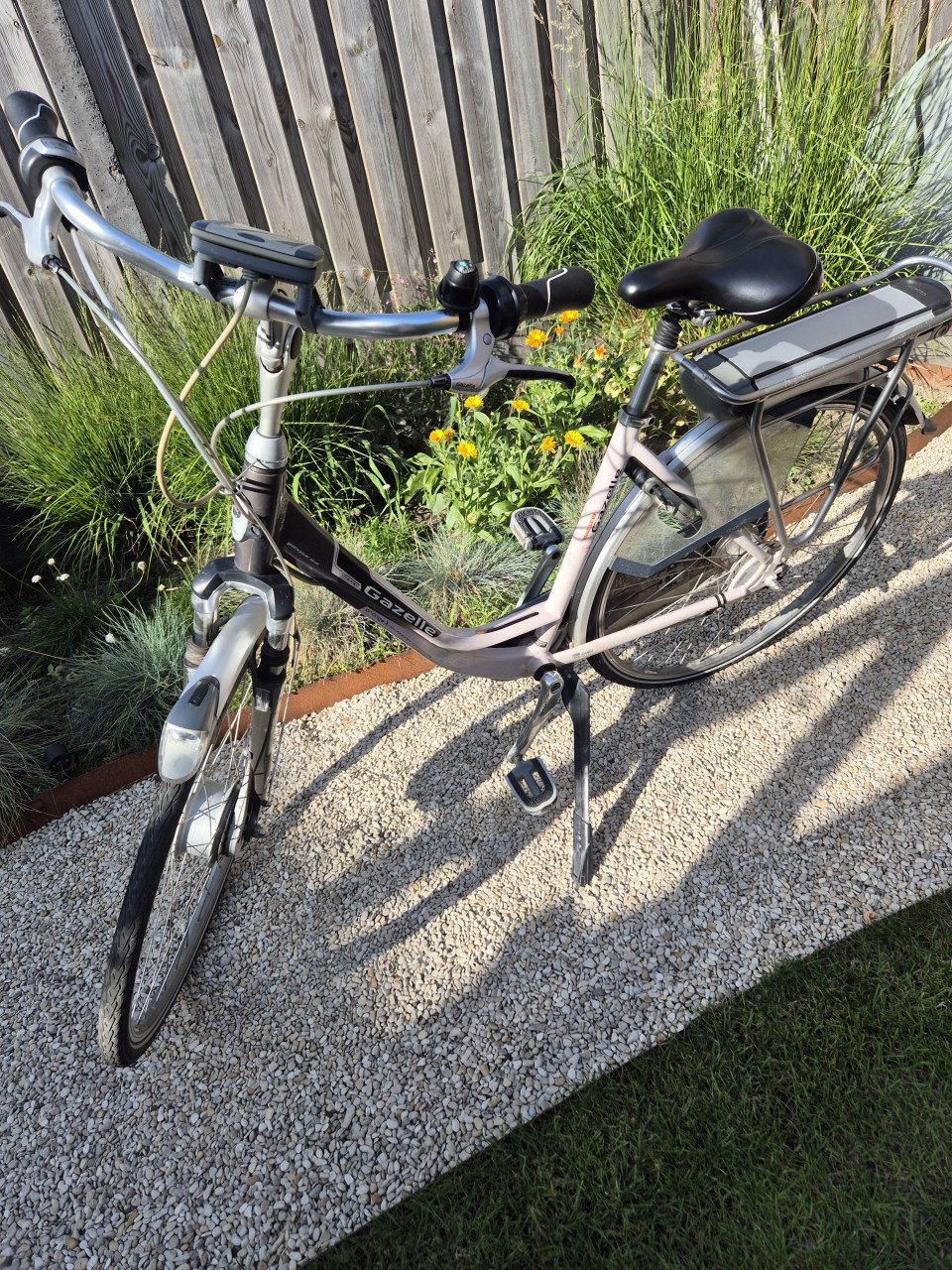 Elektrische damesfiets