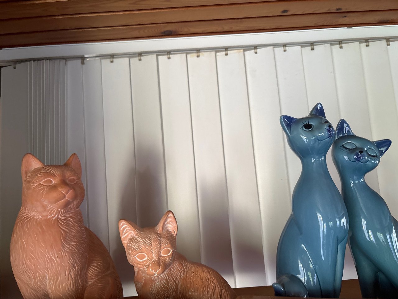Kattenbeeldjes