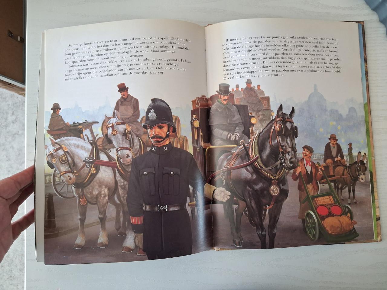 Boek Black Beauty, Anna Sewell