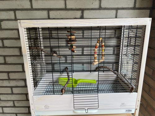 Vogelkooi