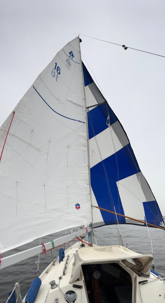 Zeilboot Jaguar 21CR