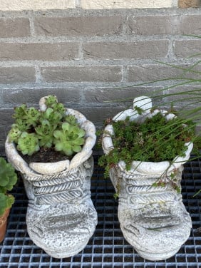 2 bloempot klompen