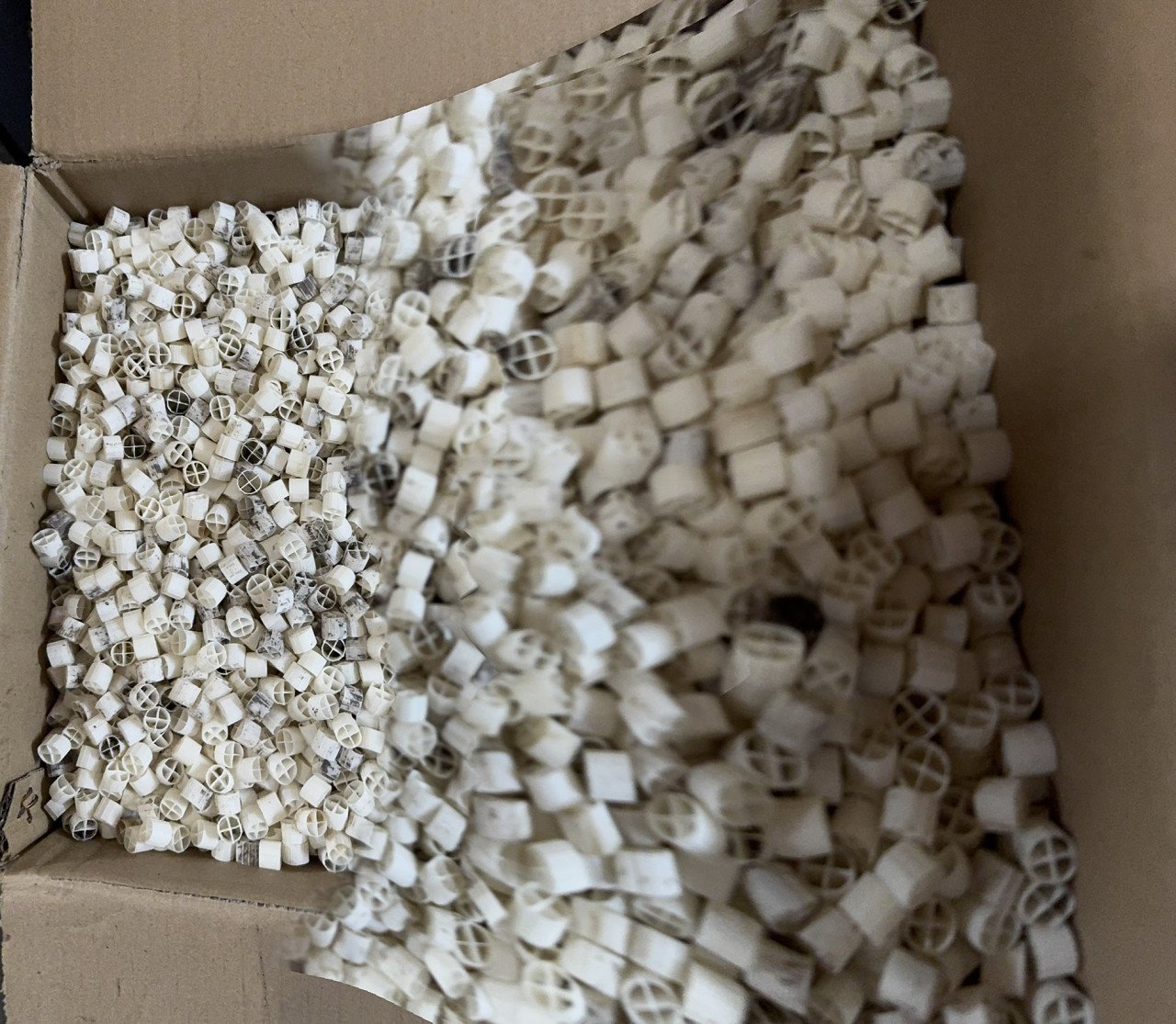 Grote bioloog met wervelbedfilter en luchtpomp