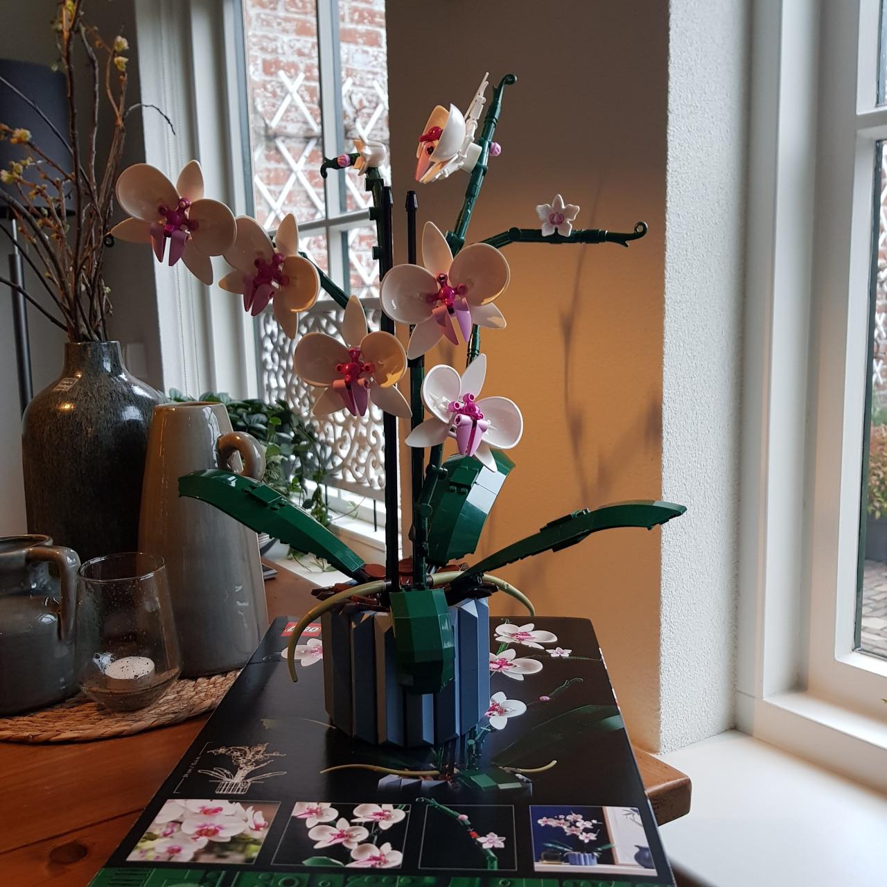 Lego Icons Orchidee.