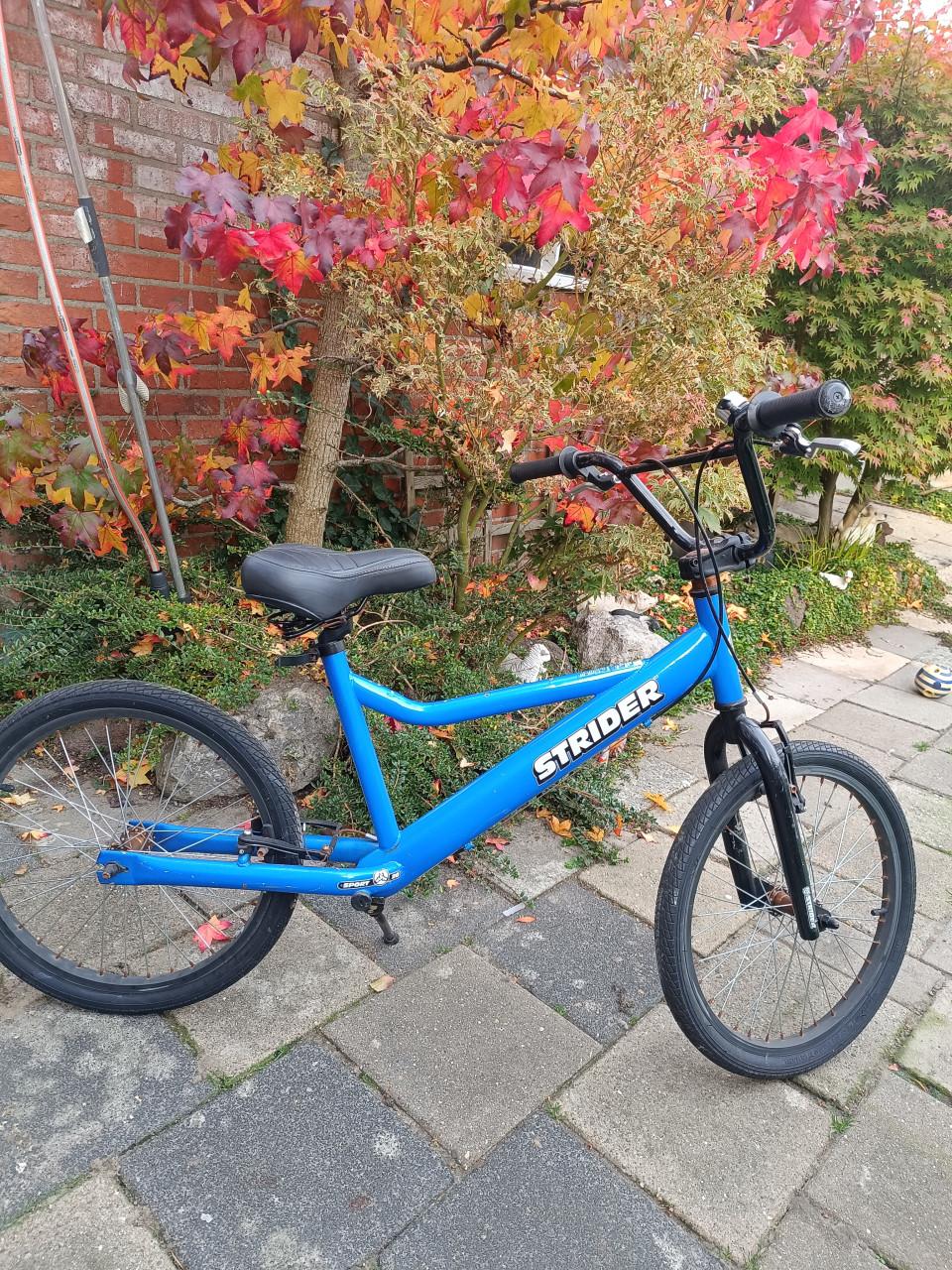 Loopfiets voor grotere kinderen