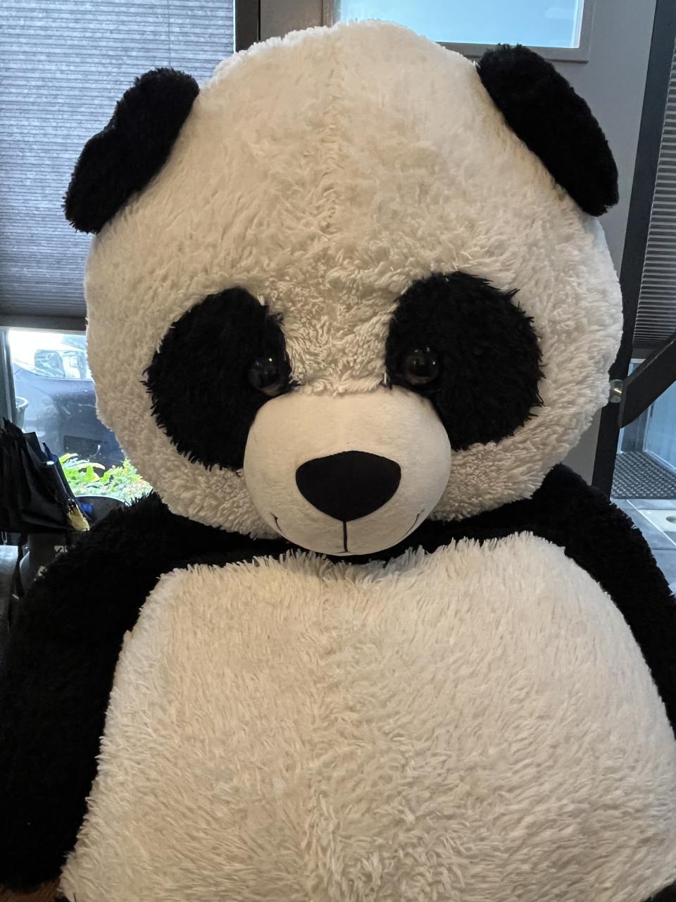 Grote panda beer knuffel