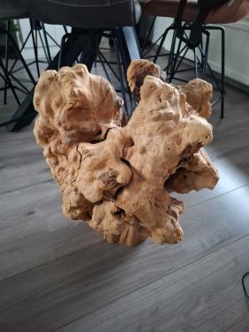 Decoratie: Massieve olijfstronk