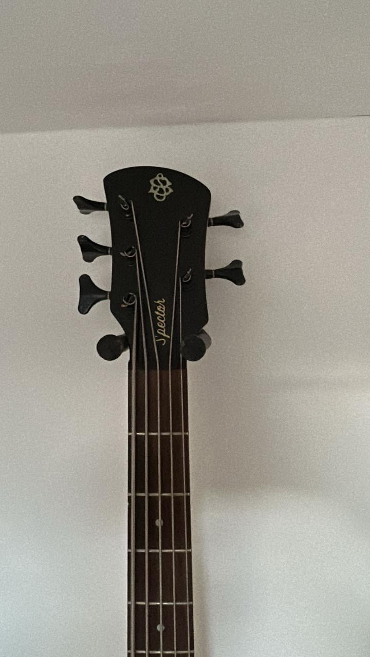 Spector Precision 5 string basgitaar