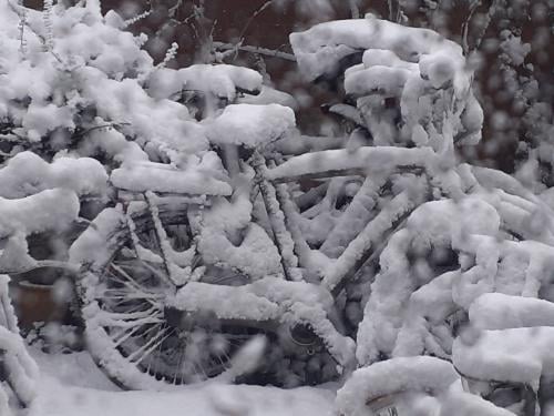 Diverse fietsen .........Dames & Herenfietsen