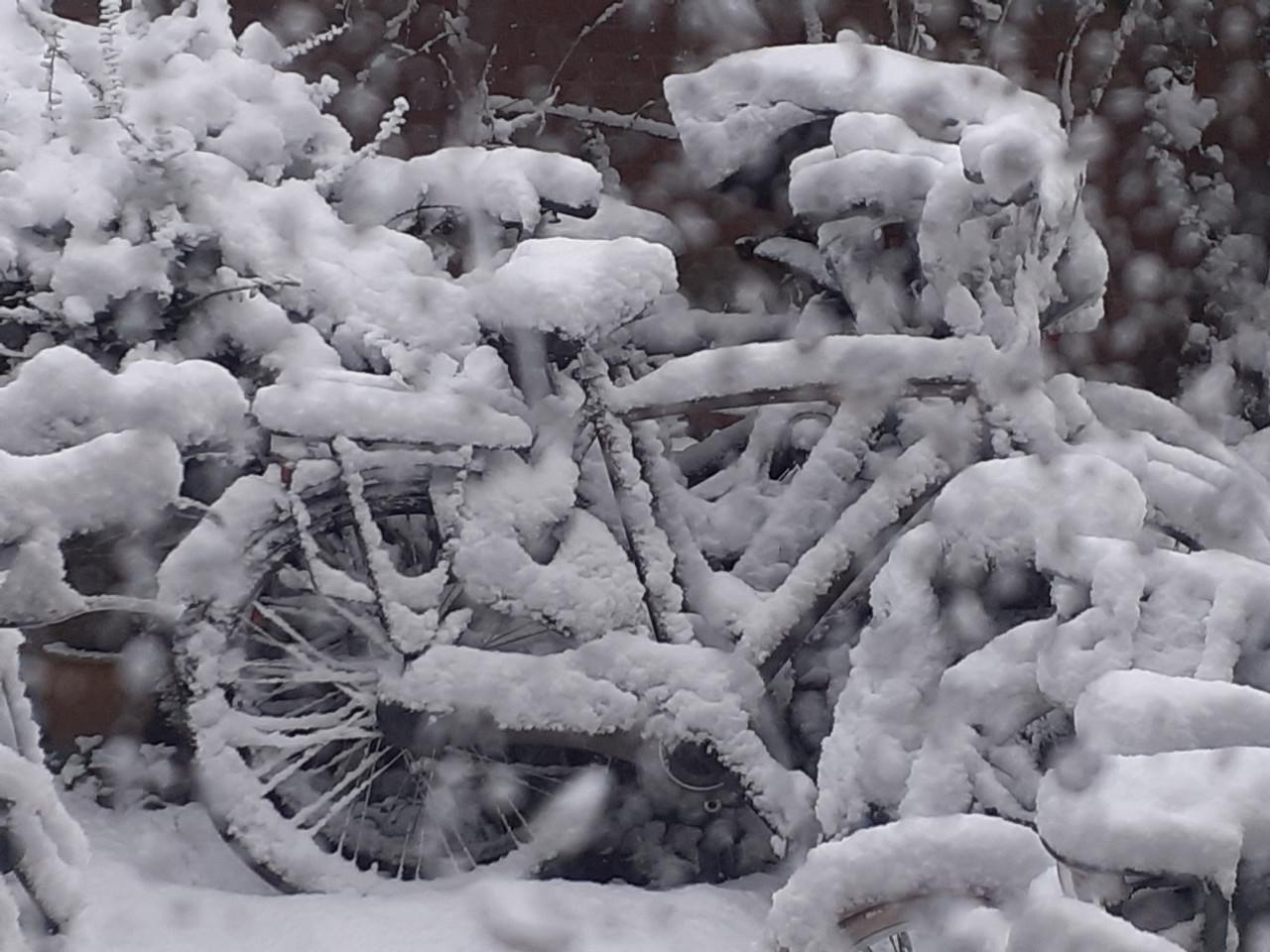 Diverse fietsen .........Dames & Herenfietsen