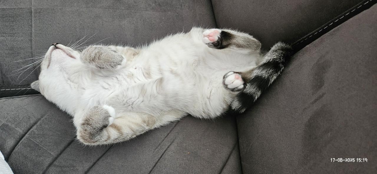 Nora zoekt een ander huisje