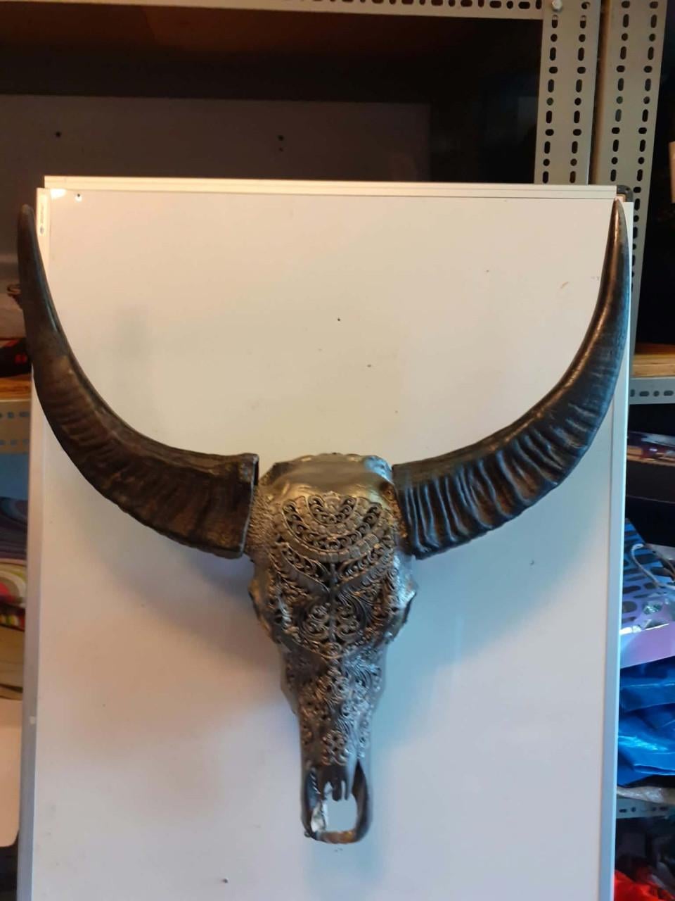 Buffelschedels  hout en 3 d print