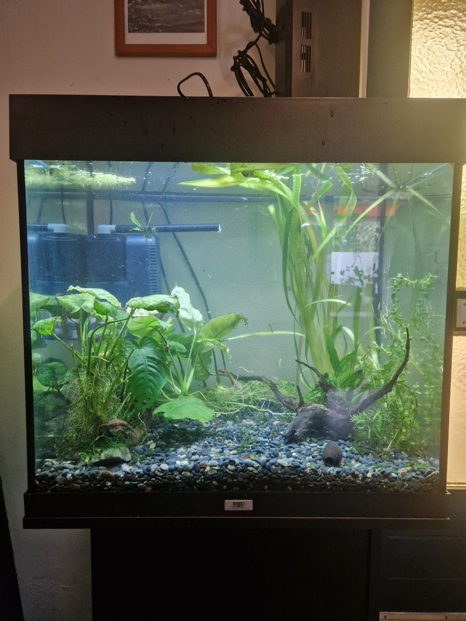 Aquarium lido 120 compleet